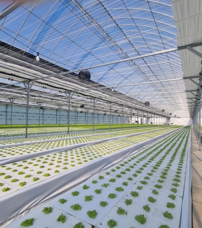 전남 나주농장 공사