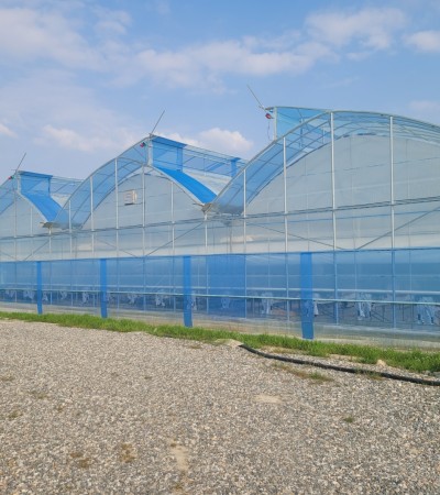 충남 예산 공사건